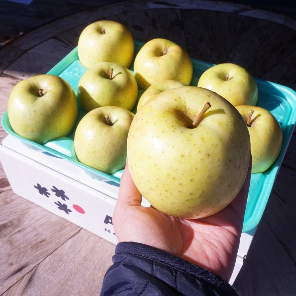 酸っぱくない甘いりんご「王林」キズなしギフト可 減農薬 青森県特別栽培認証