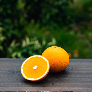 【清見オレンジ】芳醇な香りと果汁あふれるジューシー果汁-Aセレクション（家庭用）