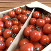 ☆食べ比べセット★高糖度★ミニトマト★フルーツトマト★産直