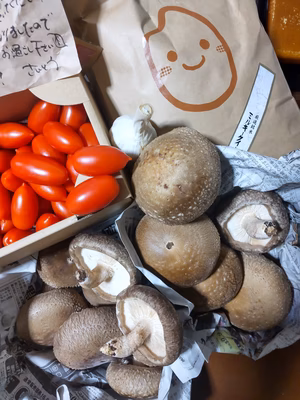 みんなの投稿の画像