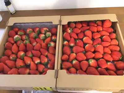 みんなの投稿の画像