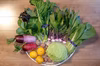 季節のカラフル野菜ボリュームセット【9-11品目】