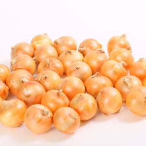 　限定数量、価格でお買い得　納豆菌栽培淡路島産玉ねぎM～２L 5ｋｇ