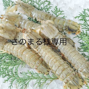 さのまる様専用