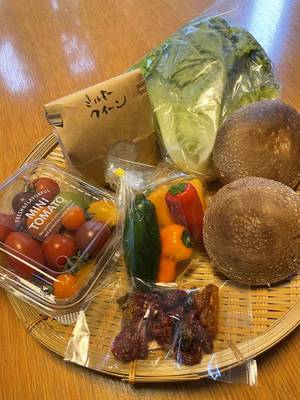 みんなの投稿の画像