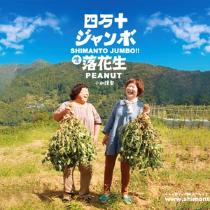 四万十ジャンボ落花生(冷凍) 400g