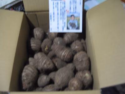 みんなの投稿の画像