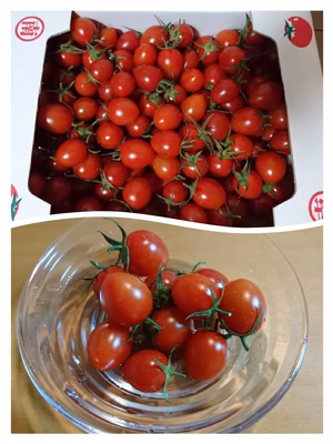 みんなの投稿の画像