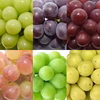 【予約商品】訳あり・規格外品 シャインマスカットと品種お任せぶどう詰合せセット