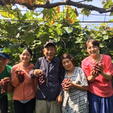 戸田佑基 | 戸田果樹園