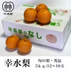 予約販売　幸水梨　約5kg(12〜16玉)　ギフト・お中元　8月5日前後発送開　