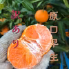 【訳あり】原口早生みかん 長崎県雲仙市産 
