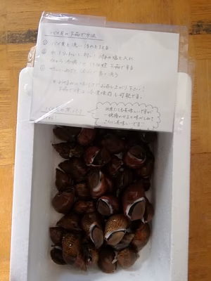 みんなの投稿の画像