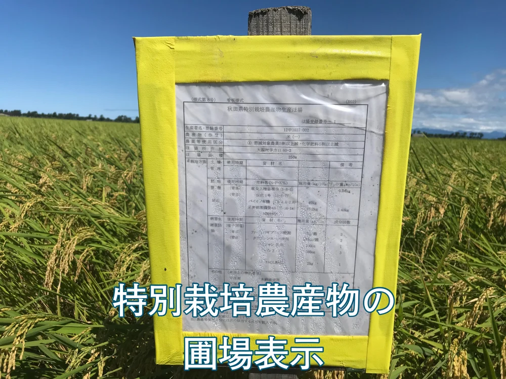 《偶数月》【2ヵ月ごと】優しい甘みの特別栽培あきたこまち