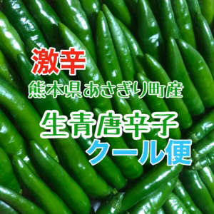 【クール便】爽やかな薫り　激辛青唐辛子