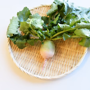 和らぎ農法　紅芯大根（1～2本）