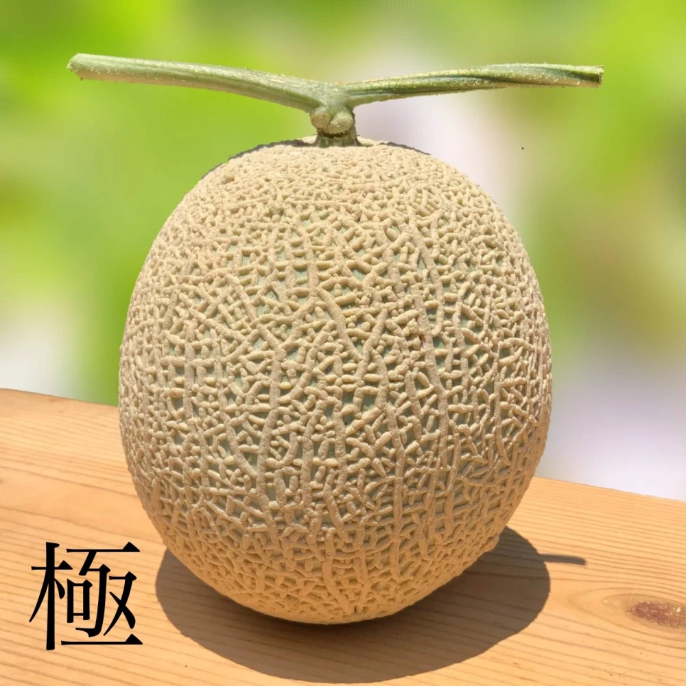 宮崎温室 赤肉メロン 3Lサイズ 5玉 光センサー