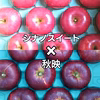 ★秋映&シナノスイート詰め合わせ★信州産まれ2品種食べ比べ♪10月末出荷予定