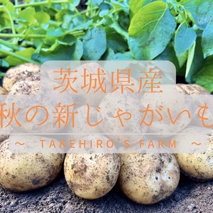 【数量限定】秋の新じゃがいも -ながさき黄金-