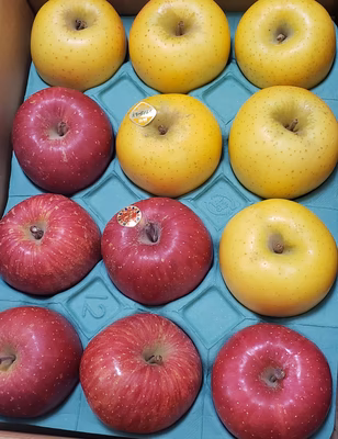 みんなの投稿の画像