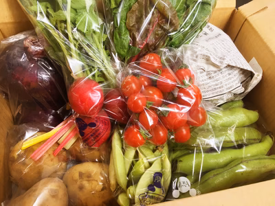 みんなの投稿の画像