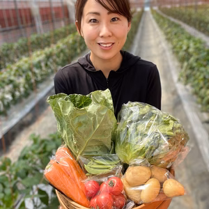 Ⓐ静岡野菜セット 6品（火曜・金曜発送日)