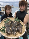【嫁考案】美保湾の天然岩牡蠣（大、中詰め合わせ）