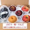 【限定20】ぶどう梨りんごのセット「ナガノパープル・南水・秋映・シナノスイート