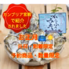 お正月用に元日指定到着・限定商品・【からふさカキ】