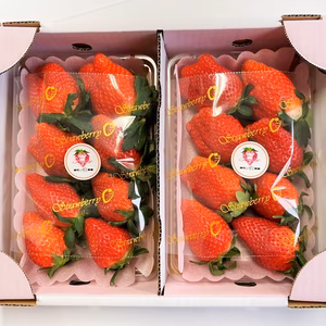 朝採りいちご☆大粒☆甘くて美味しい☆やよいひめ☆