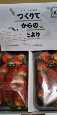 みんなの投稿の画像