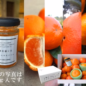年末発送！旬の甘～い完熟みかん！家族でワイワイ♪４種のみかんと生ジャムの玉手箱！