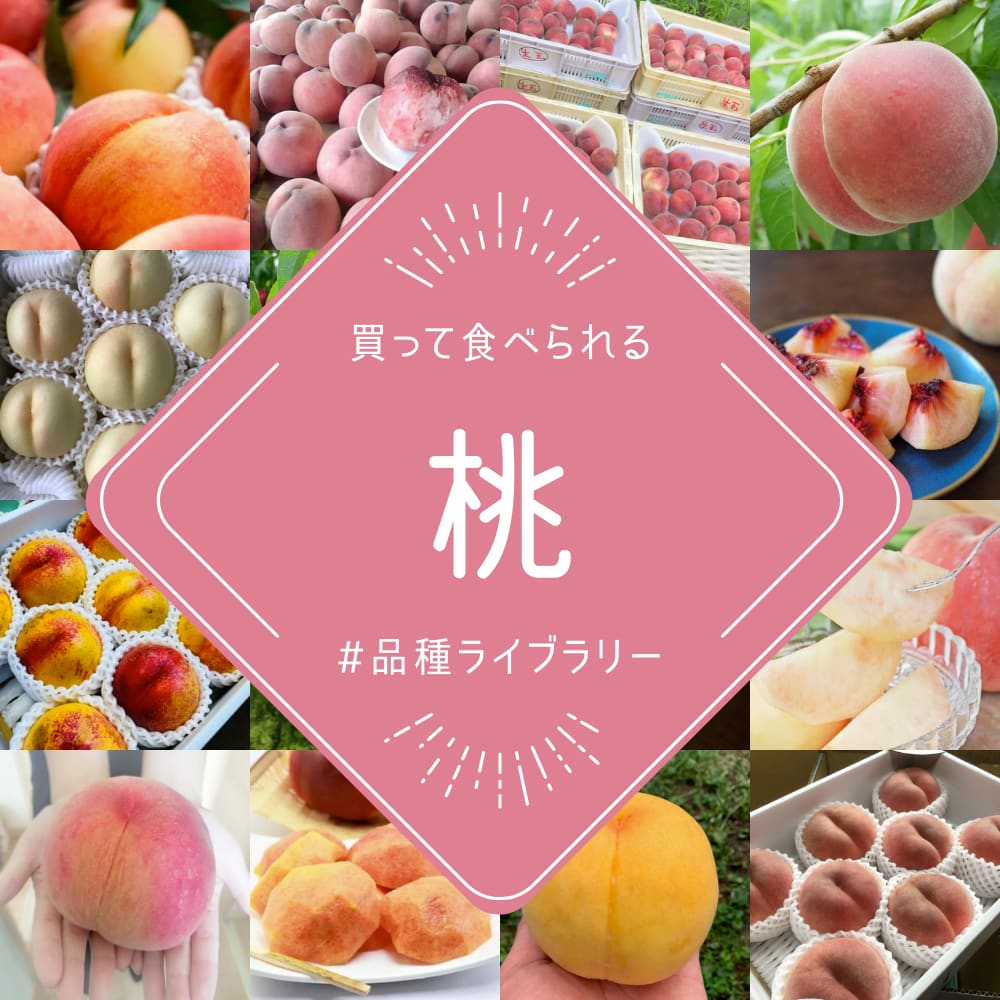 ちょーこ様専用幻の桃一箱と野菜セット-