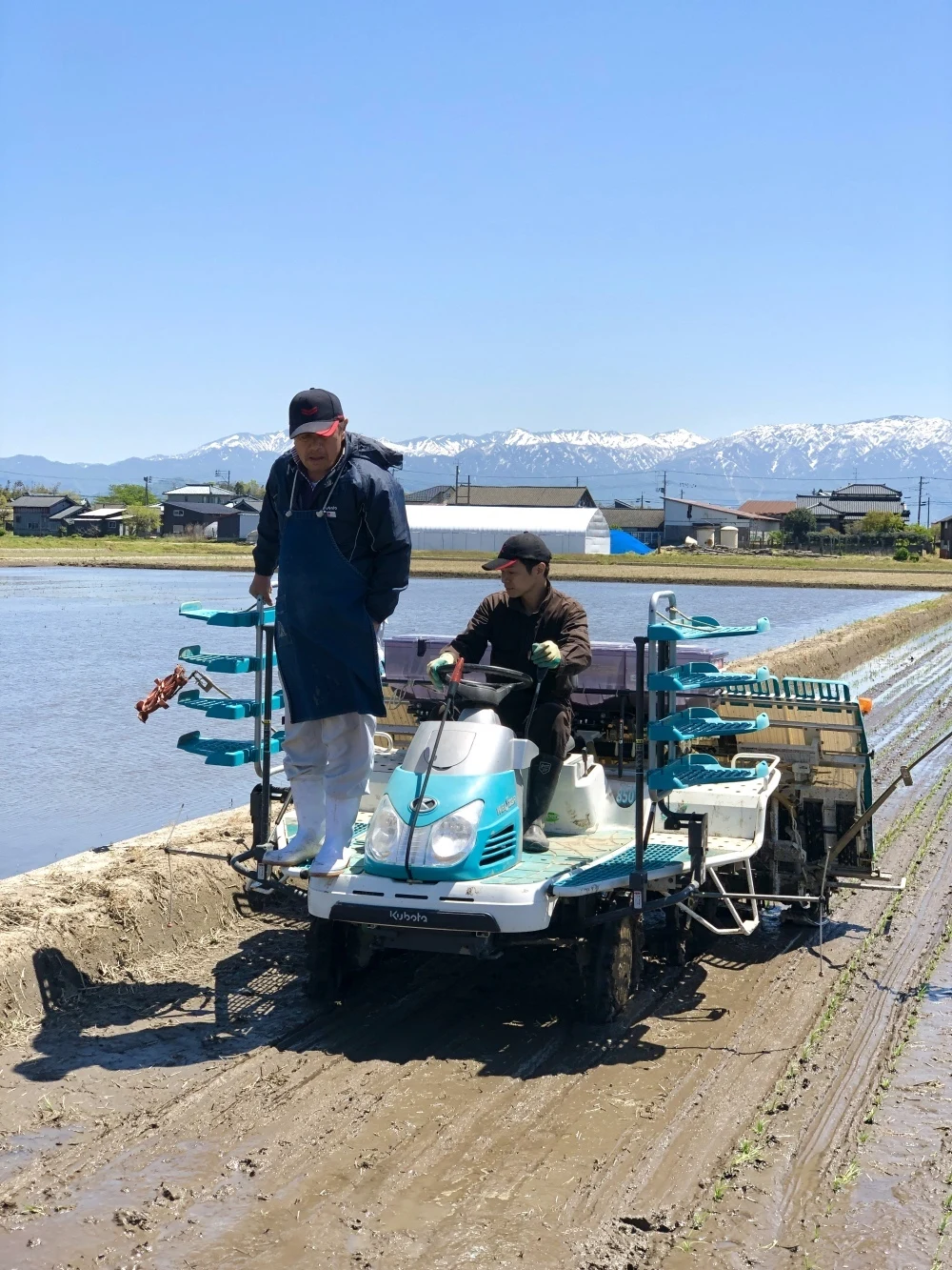 【令和5年度新米】新潟県産コシヒカリ 20kg