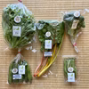 濃甘！野菜セット2倍量 農薬・化学肥料不使用♪個包装