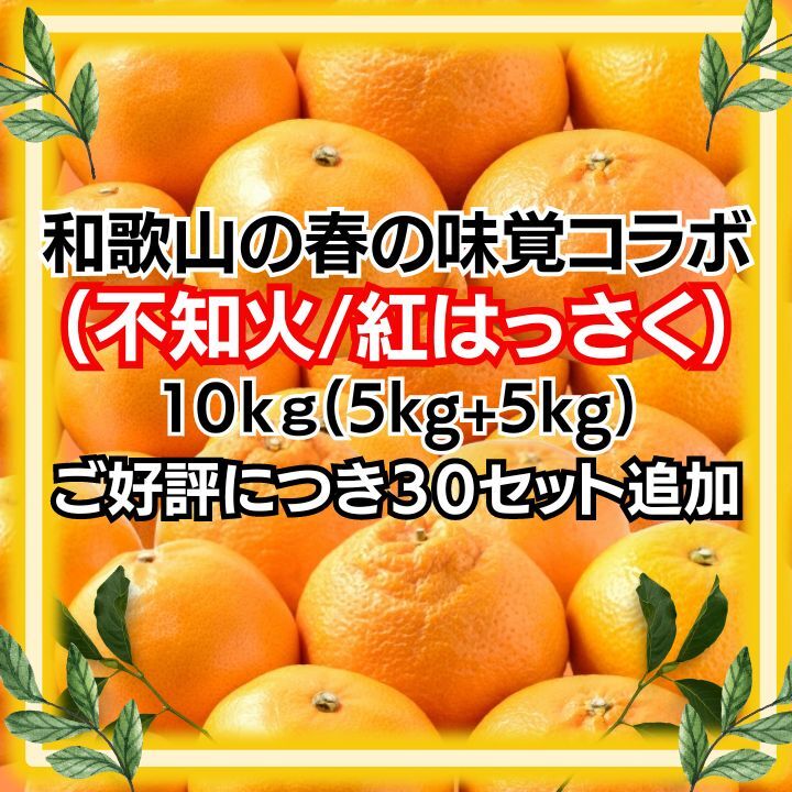 高糖度紅はっさく+和歌山の不知火セット10kg 減農薬！濃い！甘い！紅