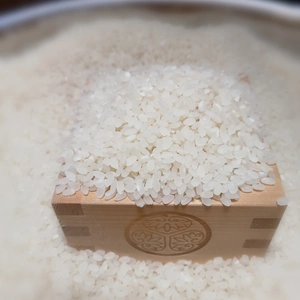 新米　もちもち甘い天日干しコシヒカリ(特別栽培米)