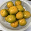 ※送料無料※≪柳フルーツ園≫訳あり・極小　中谷早生柿
