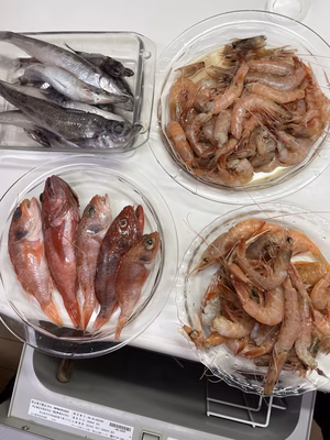 みんなの投稿の画像