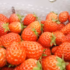 ぎゅっ！と濃縮された旨みの小粒イチゴで幸せな時間！