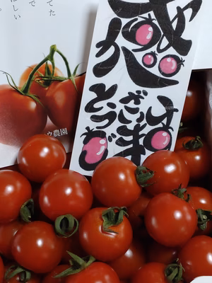 みんなの投稿の画像