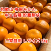 【ご家庭用・中生品種・Ｌサイズ】和歌山有田産みかん≪3㎏≫　★１月７日以降発送