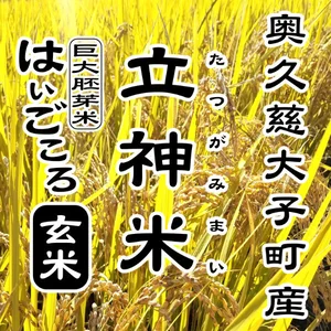 【特別栽培米】立神米はいごころ【玄米・R5年大子町産】