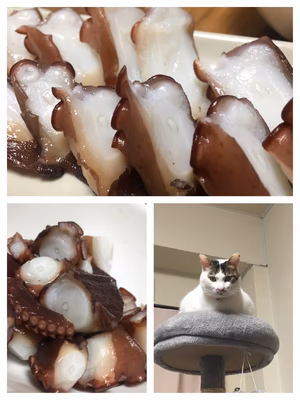 みんなの投稿の画像