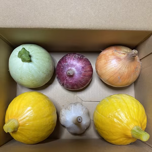 信州上田産サラダ野菜セット（栽培期間中無農薬）