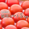 さわやかな甘味が特徴の徳用トマト5kg　宮崎県産
