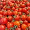 ◆レトルトカレー◆「おひさま育ち」のミニトマトで作った「すっぱカレー」