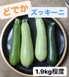 ⑥どでかズッキーニ4本セット^ ^