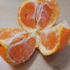 大玉だけど美味しいヨ！完熟みかん（宮川早生）