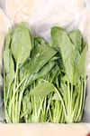 【規格外】外食用のほうれん草１.１ｋｇ